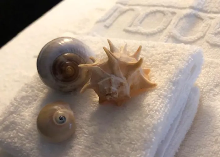 Hotel Furadouro Boutique & 4*