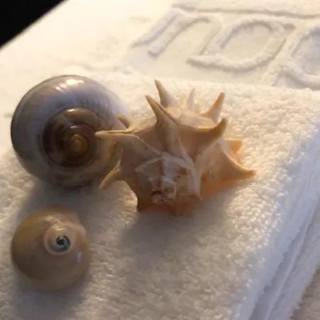 Szálloda Furadouro Boutique & 4*